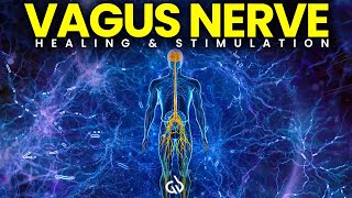 Vagus Nerve Stimulation Frequency Binaural Beats to Heal the Nervous System [upl. by Guimar]