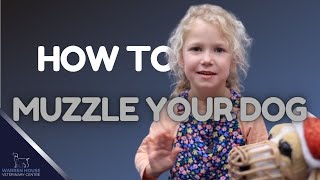 Cutest Trainer Ever Muzzle Training Tips [upl. by Westland]