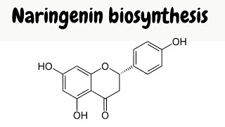 Biosynthesis of naringenin  mechanisms [upl. by Saffian]