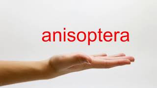 How to Pronounce anisoptera  American English [upl. by Marin]