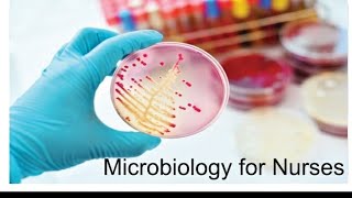 Microbiology for Nurses Introduction to Microbiology [upl. by Grunberg]