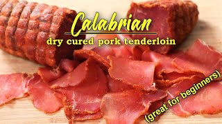 Dry Cured Calabrian Pork Tenderloin  Dry Curing Meat for Beginners [upl. by Aztinaj]