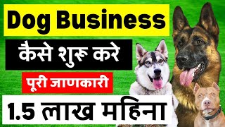 Dog Business Kise Shuru Kare  How To Start A Dog Business  In India [upl. by Worrell]