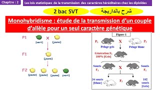 Monohybridisme la transmission dun coupe dallèle pour un seul caractère génétique 2 bac svt biof [upl. by Eadwine]