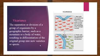 Zoogeography history Branches [upl. by Maidie233]