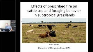 Effects of prescribed fire on cattle use and foraging behavior  Britt Smith [upl. by Halverson]