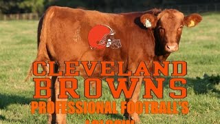 The Cleveland Browns  Professional Footballs Lolcow [upl. by Verlie]