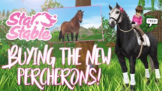 Buying the NEW PERCHERONS  NEW bridles  Star Stable Updates [upl. by Sanson273]