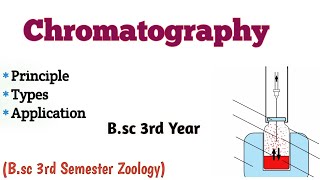 Chromatography Principle Types of Chromatography ion exchange Bsc 3rd Semester UmeshBiology [upl. by Yenots]