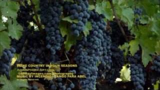 Napa Valley in Four Season Northern California Wine Country [upl. by Attenov]