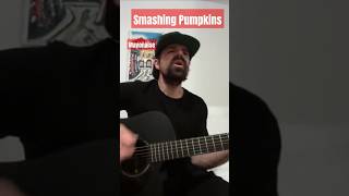 Mayonaise  The Smashing Pumpkins Cover thesmashingpumpkins billycorgan [upl. by Nebe]