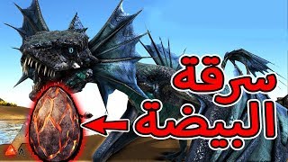 أرك سيرفايفل 5  الهجوم على عش التنانيين Ark Survival Evolved [upl. by Regor]