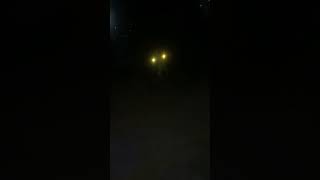 Dog uses genjutsu street dog wolf eyes [upl. by Cart400]