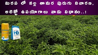 indofil Alecto Insecticide information in telugu  Broflanilide 20 sc  alecto indofil insecticide [upl. by Ttenna]