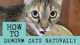 How to Deworm Cats Naturally with Diatomaceous Earth [upl. by Orlosky373]