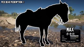 YesThis is the Fastest Horse in the Game and it is not a Thoroughbred  Red Dead Redemption 2 [upl. by Sukramaj102]