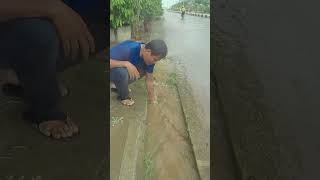 Remove Rain Water To Culvert Drain culvert unclog shorts [upl. by Rehptosirhc362]