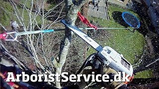 Tree removal using light rigging  Tree Climbing Arborist  Topkapning  Topkapper [upl. by Son]