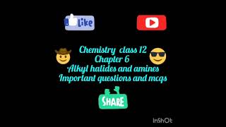 chemistry class 12  chapter 6 Alkyl halides and amines  important questions and mcqs Karachi board [upl. by Ahcorb]