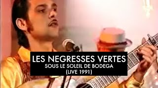 Les Négresses Vertes  Sous Le Soleil De Bodega  13041991  Les Nuls LEmission C [upl. by Fatima546]