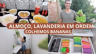 ALMOÇO FRESQUINHO ORGANIZAÇÃO DA LAVANDERIA TESTANDO MINHA MÁQUINA DE WAFFLE  COLHEMOS BANANAS [upl. by Goodwin305]