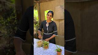 Chickpea Salad Recipe  රසට ගුණට කඩල සලාදයක් හදමුද😋😋😋 [upl. by Lewls]