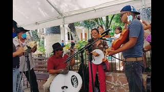 María Elena  Conjunto De Cuerda Desde Yuscaran El Paraíso [upl. by Osnofedli890]