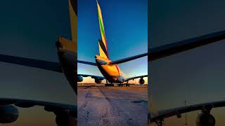 Taking Off And Landing And Much More🌎 Daily Basis Videos 🛩shortsairline January 21 2024 [upl. by Erised]