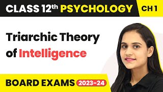 Triarchic Theory of Intelligence  Variations in Psychological Attributes  Class 12 Psychology Ch1 [upl. by Nohtahoj]