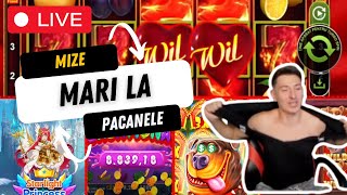 ☑️SPARGEM IAR BANI MULTI RAU DE TOT LA PACANELE PANA CASTIGAM PRAGMATICPLAY [upl. by Namrac771]