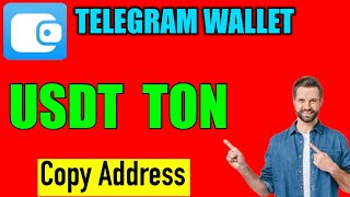 How to copy USDT TON wallet address in telegram wallet  usdt wallet address kaise nikale telegram [upl. by Sherl330]