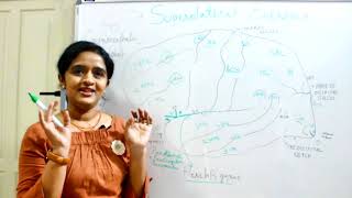 NEUROANATOMYCEREBRUMPART 2 FUNCTIONAL AREAS SUPEROLATERAL SURFACE  DR ROSE JOSE MD [upl. by Eimas124]