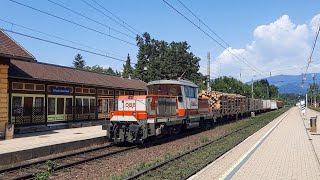 ÖBB 1163 019 komt met een houttrein door Villach Warmbad [upl. by Frederigo]