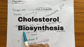 Cholesterol Biosynthesis [upl. by Hakeber355]