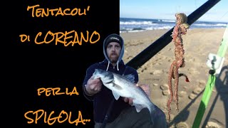 Surfcasting Tutorial esca ottima per la Spigola  TENTACOLI di COREANO [upl. by Penn]