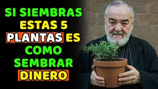 Padre Pío Planta Estas 5 PLANTAS en tu Casa AHORA para atraer mucho Dinero [upl. by Odie]