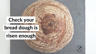 How to check your bread dough is risen enough and stop your loaf turning out flat and dense [upl. by Neeneg]