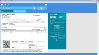 Software de Recibos y Facturas [upl. by Woermer725]