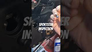 The Sportster Fastener Upgrade You Didnt Know You Needed [upl. by Anyrak]