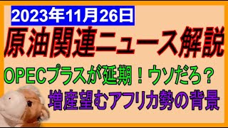 OPEC＋延期！交渉決裂？増産したいアンゴラとナイジェリア！困ったサウジアラビアを助けるのはどこの国？WTI原油先物価格見通し 2023年11月26日時点 [upl. by Melessa296]