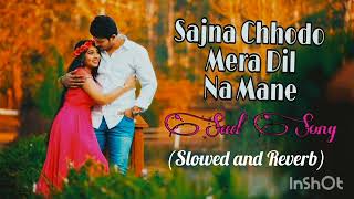 Sajna Chhodo Mera Dil Na Mane Slowed and ReverbSong MitunAyesha Udit Narayan Song [upl. by Aiello]