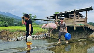 Quickly move all livestock and poultry to a new resettlement site before the super storm hits [upl. by Mitzi]