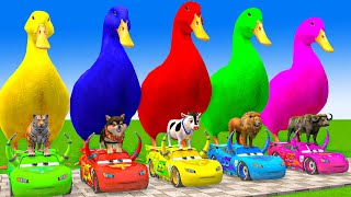 5 Giant Duck CartoonCowElephantGiraffeTigerLion Paint Wild Animals Crossing Fountain Animation [upl. by Anirbaz]