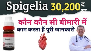 Spigelia Homoeopathic Medicine Uses in Hindi  Spigelia 30  Spigelia 200 [upl. by Nodyl]