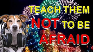 Firework sounds for dogs  1 hour of fireworks noise desensitization [upl. by Akienaj]