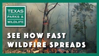 See How Fast Wildfire Spreads [upl. by Debee]