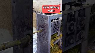 શેરડી છોલવાનું મશીન machine agriculturalsystem gadgets youtubeshorts shorts agriculturemachine [upl. by Behnken321]