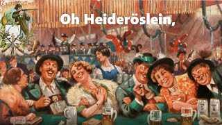 Oh Heideröslein  Schützenlied [upl. by Ahsienor]