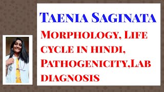 Taenia Saginata Morphology Life cycle in hindi PathogenicityLab diagnosis [upl. by Evetta]