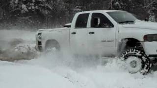 Cummins Rippin The Snow [upl. by Lannie]